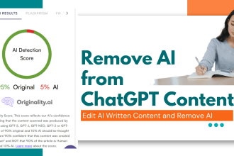 manually edit and paraphrase your ai written content 24 hours