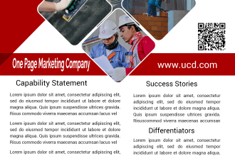 design a professional and creative capability statement, flyer