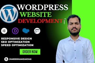 build responsive wordpress websites expert wordpress developer