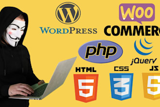 develop and fix custom wordpress plugins or woo commerce plugins