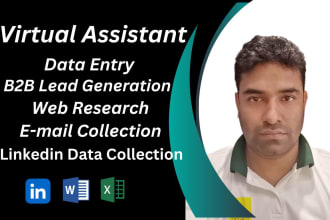 do efficient and accurate  data entry, web research, lead generation