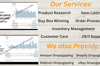 expert for ebay dropshipping ebay winning products listings