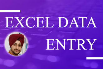 excel data entry and excel data cleaning, data cleanup