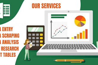 design excel worksheet, google sheet,data entry,file conversion