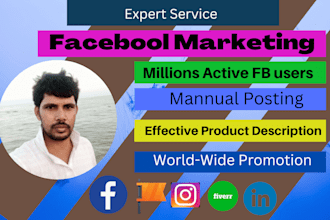 do professional facebook marketing for USA UK business
