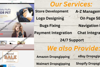 expert for shopify dropshipping and amazon dropshipping