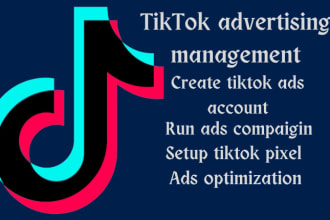 run and manage tiktok ads campgaign, tiktok ads  advertising and set up pixel