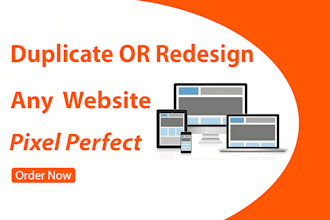 do copy, clone duplicate or redesign any website