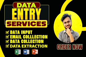 do data input, data extraction, email collection, data entry and web research