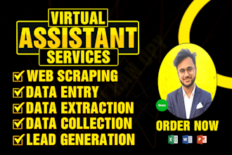 do web scraping, data entry, data collection, extraction and b2b lead generation