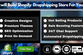 build shopify dropshipping store ecommerce website and shopify website