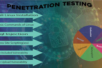 do penetration testing and vulnerability scaning