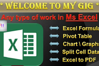 help you I will do anything in microsoft excel, function data analysis