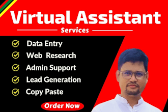 be your virtual assistant for data entry, copy paste, web research, admin work