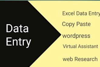 do data entry, copy paste work in excel