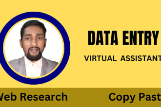 do data entry, copy paste, data collection, excel