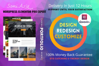 design redesign customize wordpress website or landing page with elementor pro