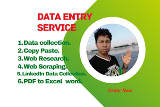 efficiently find the email, phone, websites excel data entry