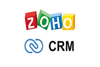 set up and customize zoho CRM, creator, books, campaigns and desk