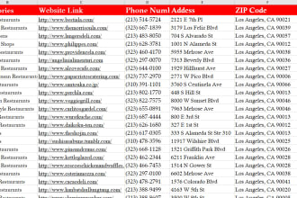 do professional lead generation for any business