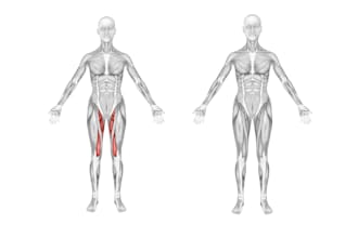 scientific illustration, diagram and figure