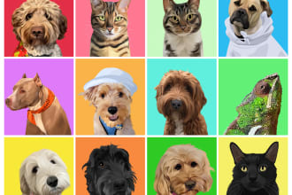 draw an awesome pet cartoon portrait