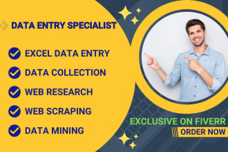 do web research, data collection, excel data entry work