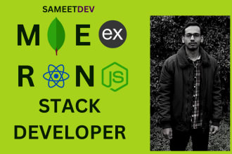 your mern stack web development