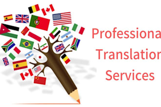 translate any type of text