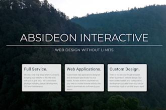 design and develop a custom website