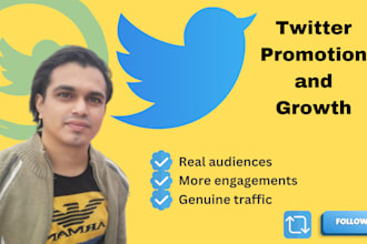 do superfast twitter promotion and growth
