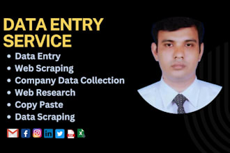 do shiny data entry, scraping, web research, copy paste