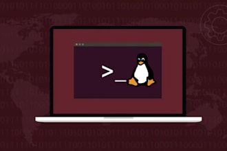 install docker, docker compose, and deploy your containers