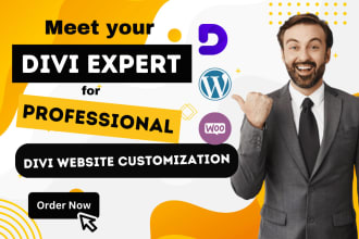 design wordpress divi website as divi theme, builder expert