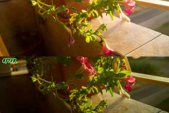 edit your photos using lightroom