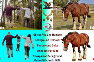 photo edit, image background removal, objects, color changes