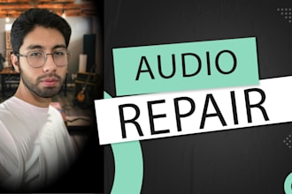 professionally remove noise and enhance your audio