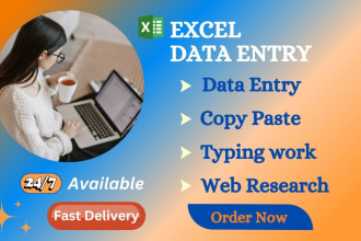 be your perfect excel data entry operator