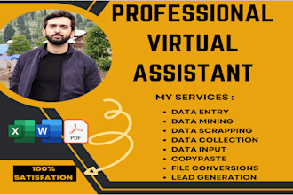 do web research, web scrapping, data mining and data input