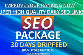 manual SEO link building 30 days drip feed service