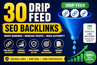 manual SEO mix backlinks 30 days drip feed service