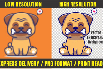 convert your logo or image into transparent format
