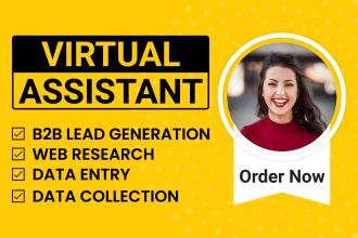 be your virtual assistant for data entry, web research, and lead generation