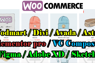 be your woocommerce specialist for your ecommerce website