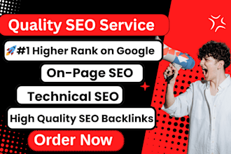 provide website SEO service on page, technical and off page