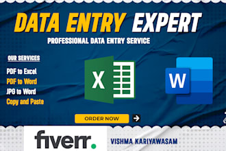 do professional data entry, fast typing, retyping, copy and paste