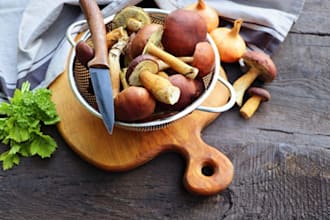 write about mushrooms, medicinal plants, wild foraging
