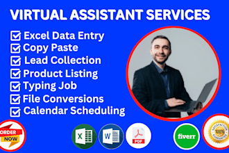 do copy paste typing data entry any tasks as a professional virtual assistant