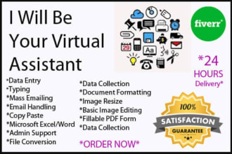 be your professional admin and personal virtual assistant