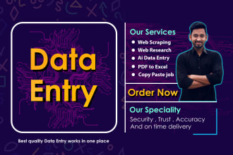 do data entry, excel, copy paste, web research, typing